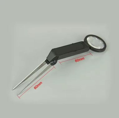 Loupe de lecture pliable